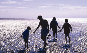 Morecambe Bay - Hotels, Attractions and things to do